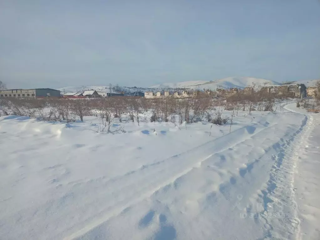 Участок в Алтай, Майминский район, с. Подгорное ул. Катунская (12.6 ... - Фото 0