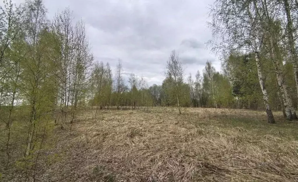 Участок в Московская область, Дмитровский муниципальный округ, д. ... - Фото 0