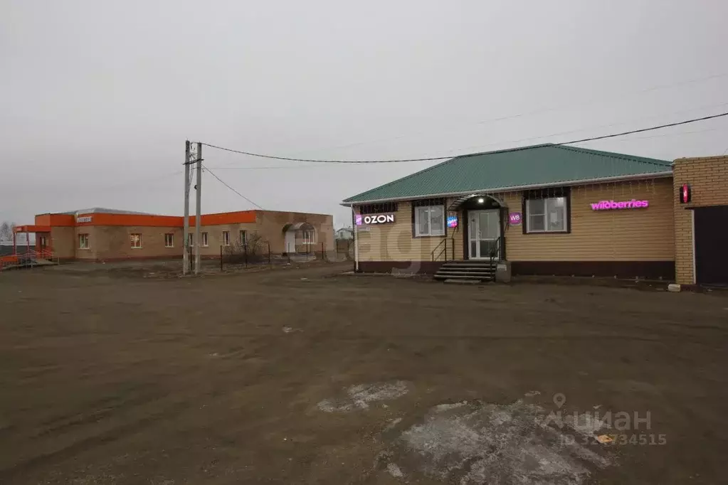 Участок в Челябинская область, Сосновский муниципальный округ, с. ... - Фото 1