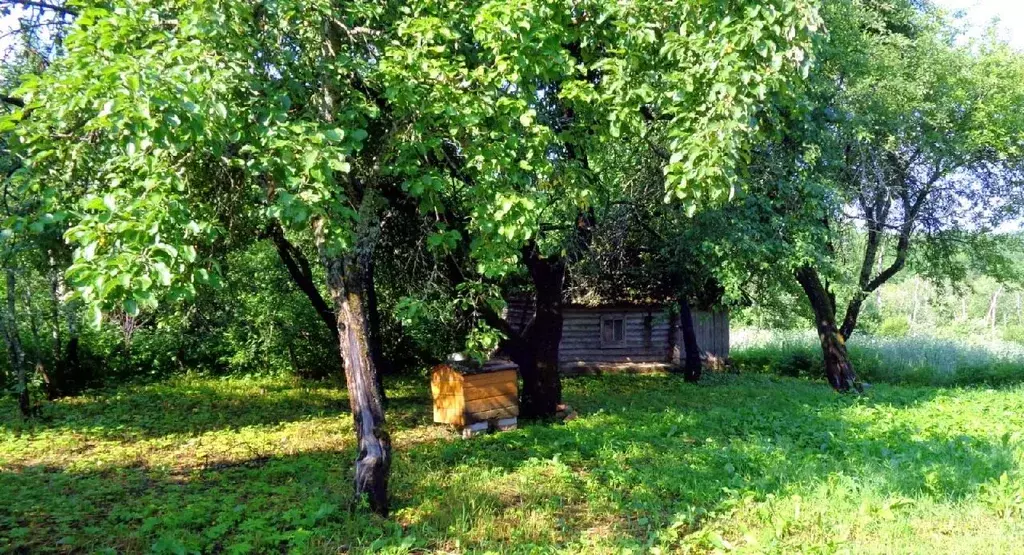 Участок в Псковская область, Куньинский район, д. Бегуново  (65.0 ... - Фото 1