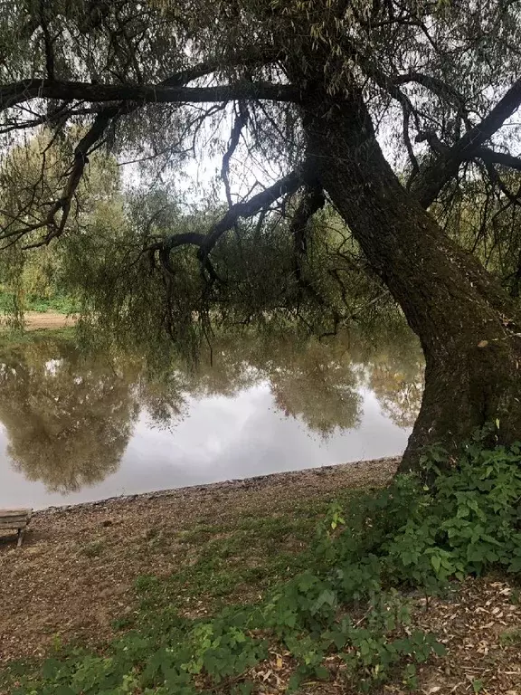 Участок в Новгородская область, Новгородский район, Бронницкое с/пос, ... - Фото 1