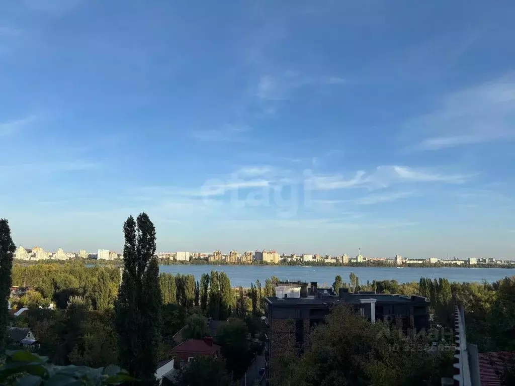 Дом в Воронежская область, Воронеж Горный пер., 2 (21 м) - Фото 1