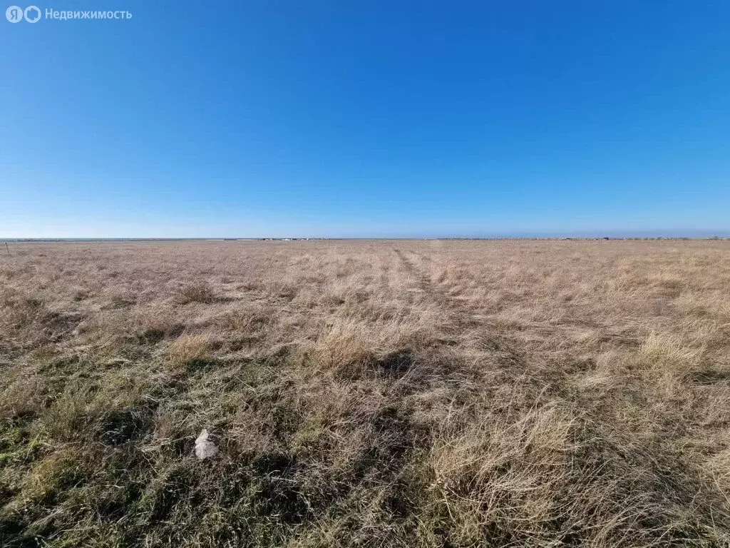 Участок в Сакский район, Молочненское сельское поселение, село Витино ... - Фото 1