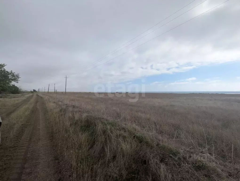 Участок в Крым, Черноморский район, Окуневское с/пос, с. Марьино  (5.0 ... - Фото 1