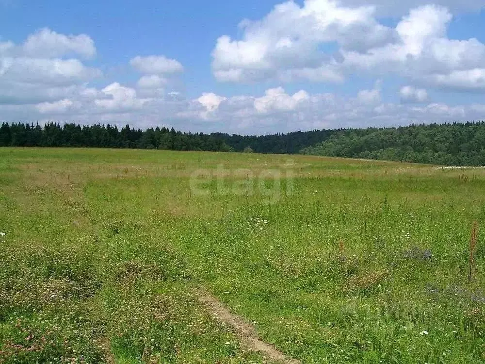 Участок в Ярославская область, Переславль-Залесский муниципальный ... - Фото 1