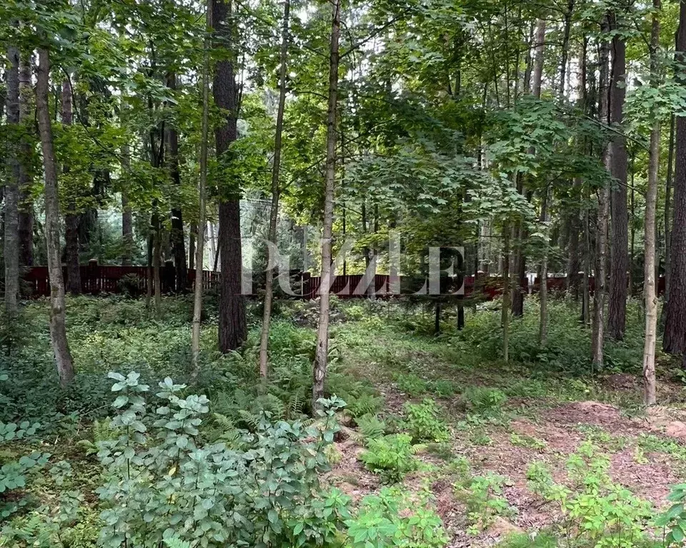 Участок в Санкт-Петербург, Санкт-Петербург, Зеленогорск Приморское ш., ... - Фото 2