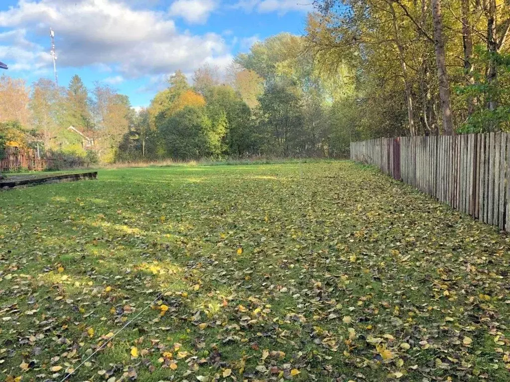 Участок в Санкт-Петербург, Санкт-Петербург, Зеленогорск Овражная ул., ... - Фото 1