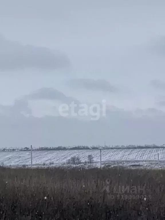 Участок в Белгородская область, Белгородский район, Головинское с/пос, ... - Фото 0