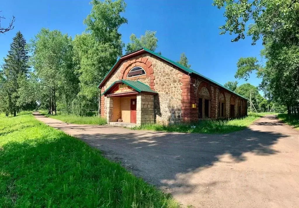 Помещение свободного назначения в Ленинградская область, Волосовский ... - Фото 1