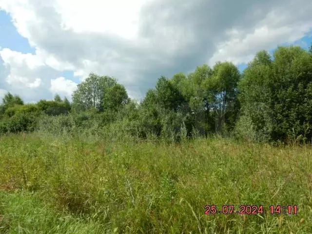 Участок 13,08 га (СНТ, ДНП) - Фото 1