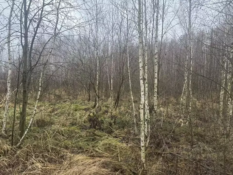 Участок в Московская область, Кашира Ожерелье мкр,  (13.14 сот.) - Фото 1