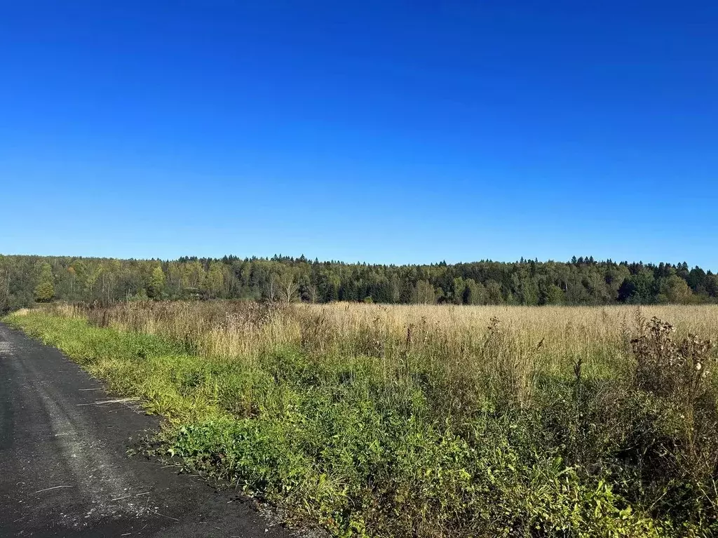 Участок в Московская область, Дмитровский муниципальный округ, ... - Фото 2