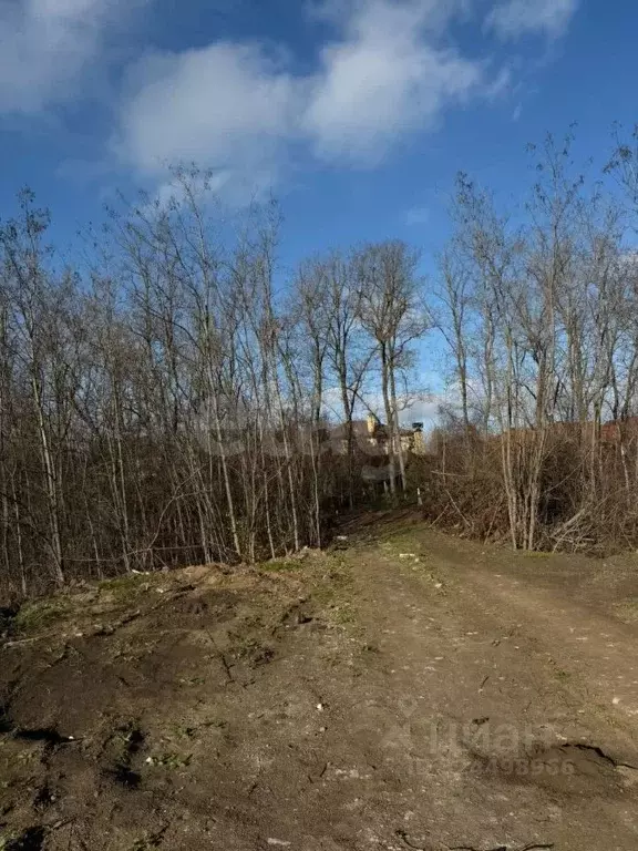 Участок в Ростовская область, Мясниковский район, Краснокрымское ... - Фото 2