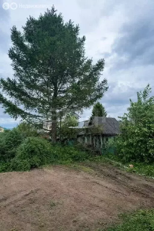 Участок в Томск, СТ Коммунальщик, Вишнёвая улица (3.6 м) - Фото 1