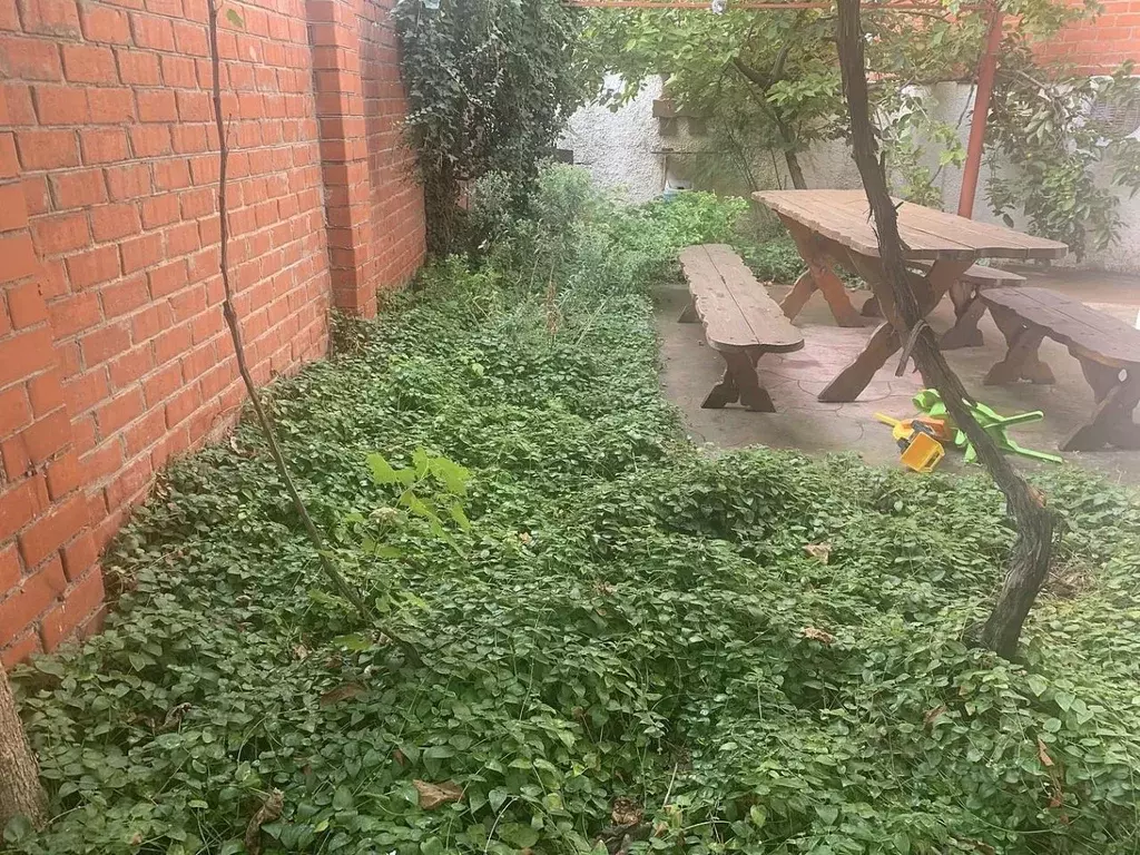 Дом в Краснодарский край, Анапа ул. Тургенева (550 м) - Фото 2