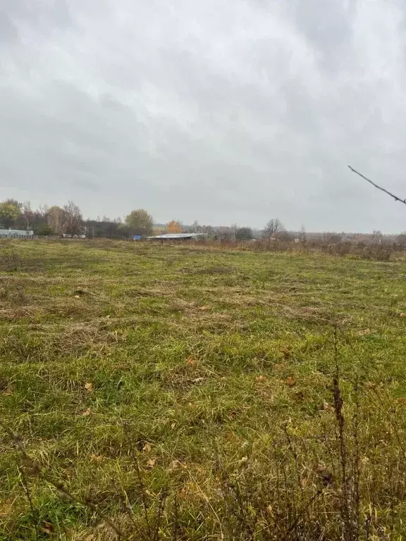 Участок в Тульская область, Щекинский район, Лазаревское с/пос, с. ... - Фото 2