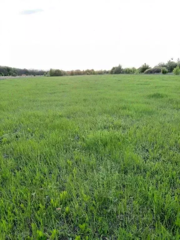 Купить Участок В Воронеже Рамонский Район