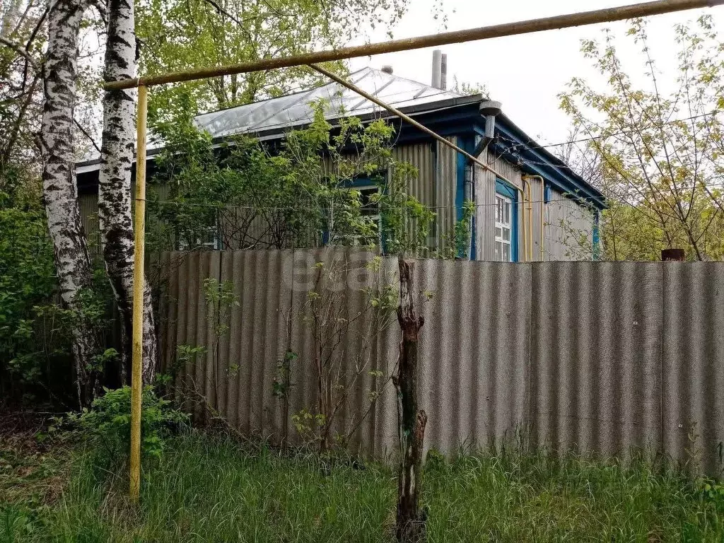 Дом в Белгородская область, Новооскольский муниципальный округ, с. ... - Фото 1