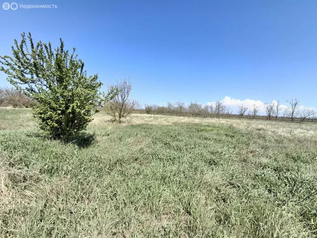 Участок в Кухаривка, Московская улица (15.6 м) - Фото 1