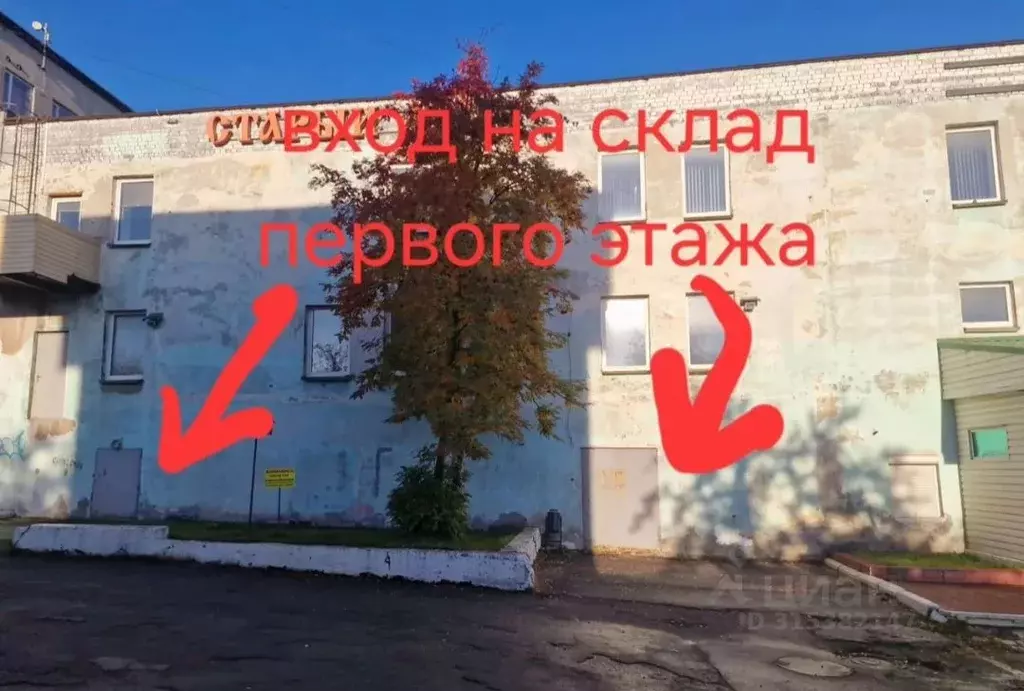 Помещение свободного назначения в Мурманская область, Мурманск ... - Фото 2