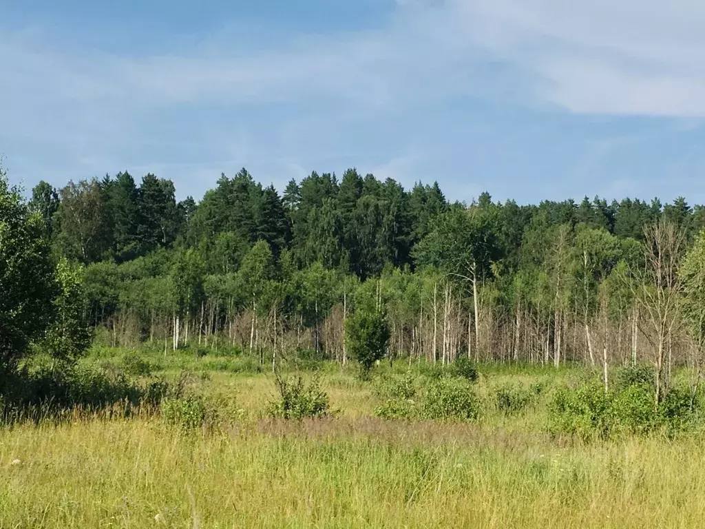 Участок в Тверская область, Зубцовский муниципальный округ, д. Боброво ... - Фото 2