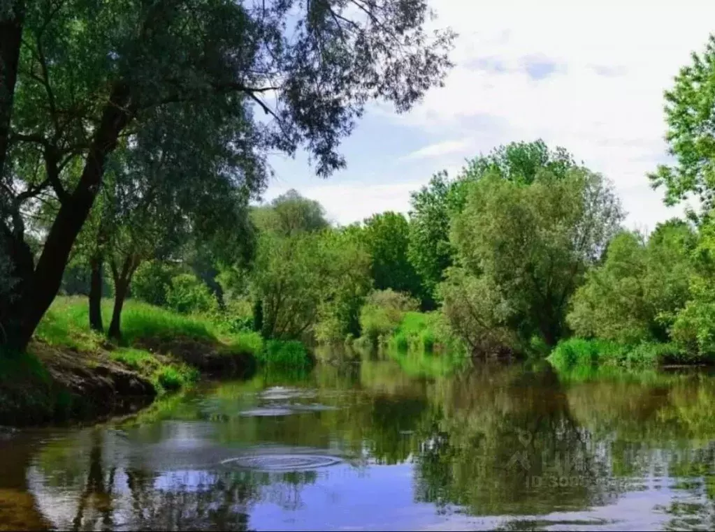 Участок в Нижегородская область, Богородский муниципальный округ, с. ... - Фото 1