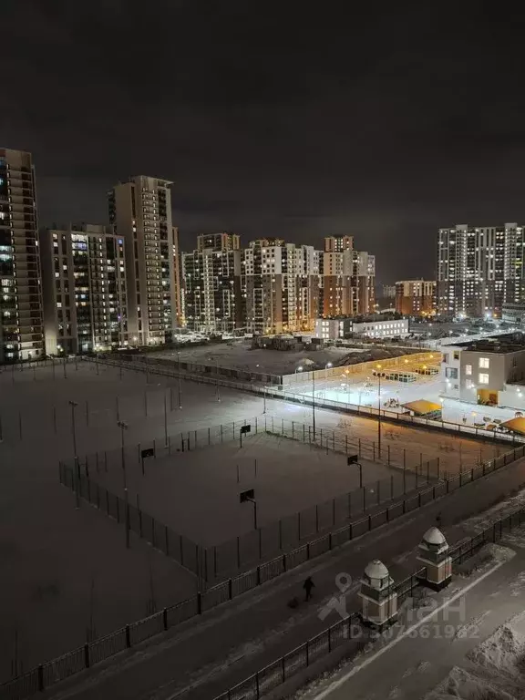 Студия Санкт-Петербург аллея Арцеуловская, 19 (24.0 м) - Фото 2