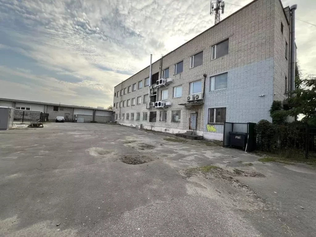 Офис в Калининградская область, Светлый ул. Горького, 18 (31 м) - Фото 1