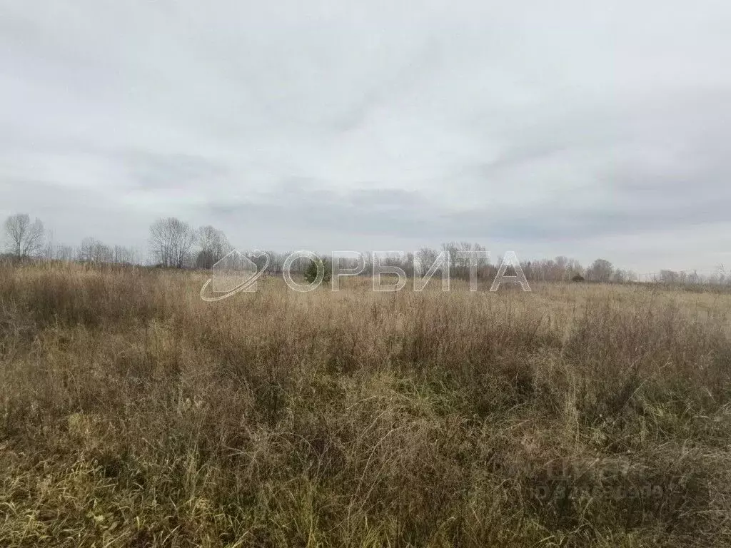 Участок в Тюменская область, Тюменский муниципальный округ, ... - Фото 1