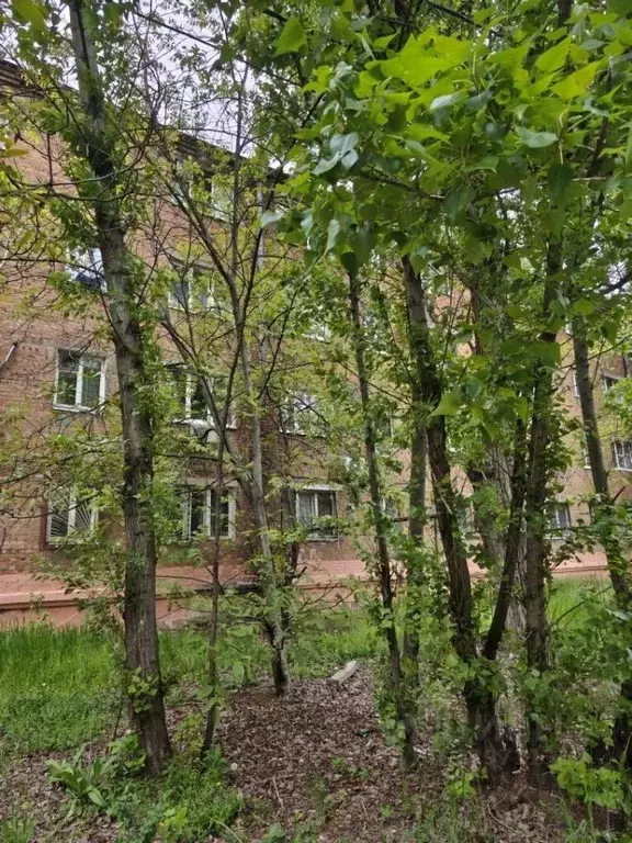 Комната Ростовская область, Ростов-на-Дону ул. Шеболдаева, 4 (12.0 м) - Фото 1
