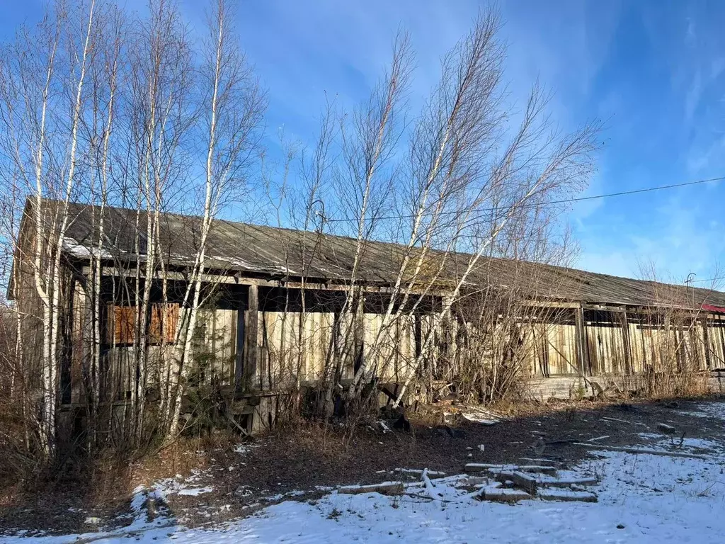 Помещение свободного назначения в Ямало-Ненецкий АО, Красноселькупский ... - Фото 1