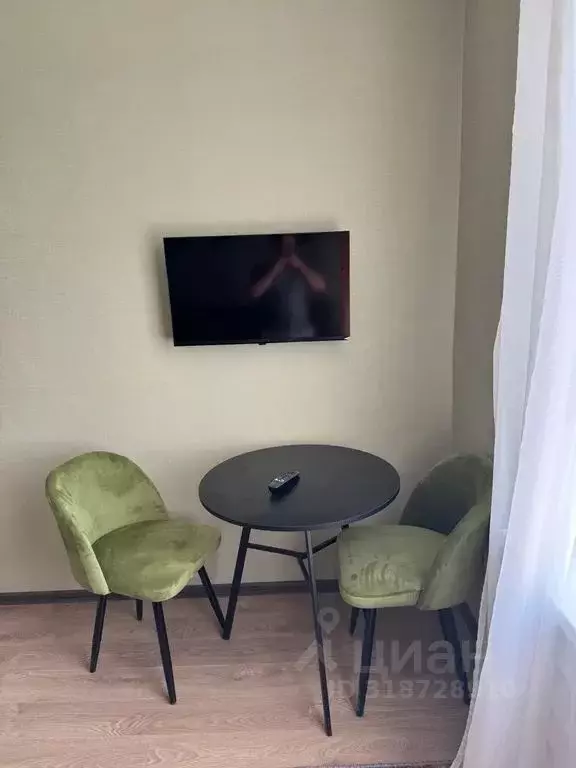 Студия Самарская область, Самара Студенческий пер., 3 (15.0 м) - Фото 1