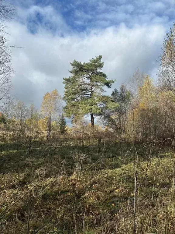 Участок в Московская область, Можайский муниципальный округ, д. ... - Фото 1