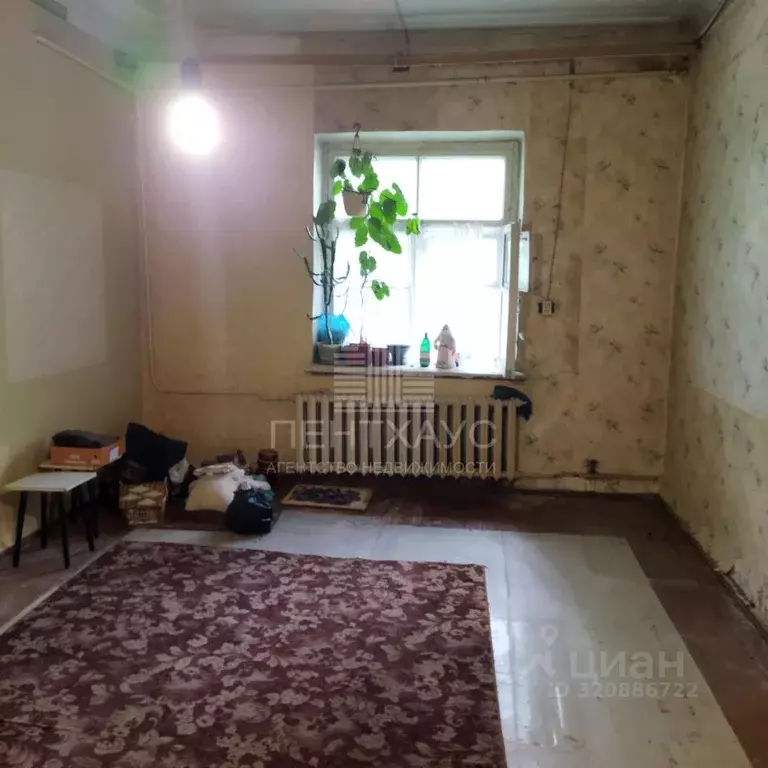 Комната Владимирская область, Владимир Северная ул., 37 (25.0 м) - Фото 1