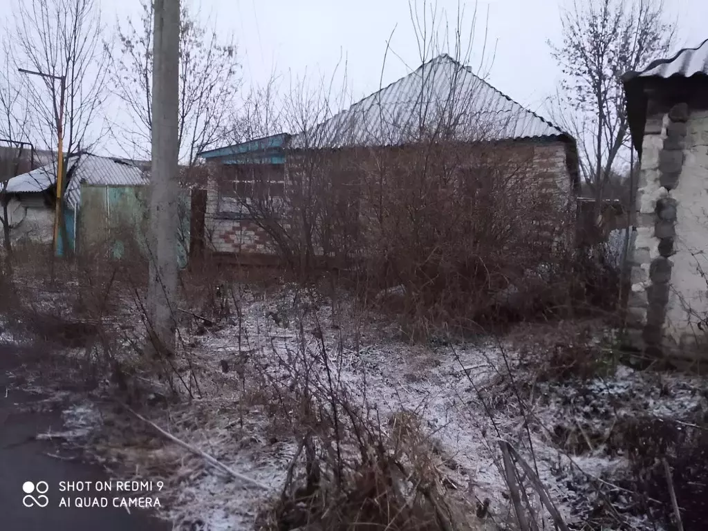 Участок в Белгородская область, Чернянский район, Прилепенское с/пос, ... - Фото 0