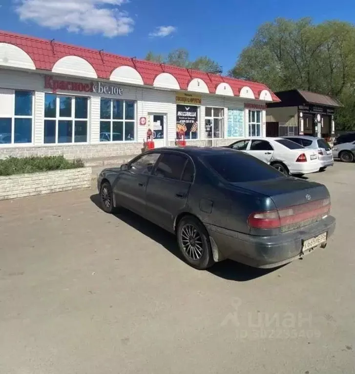 Торговая площадь в Омская область, Омск ул. Василия Маргелова, 353к1 ... - Фото 1