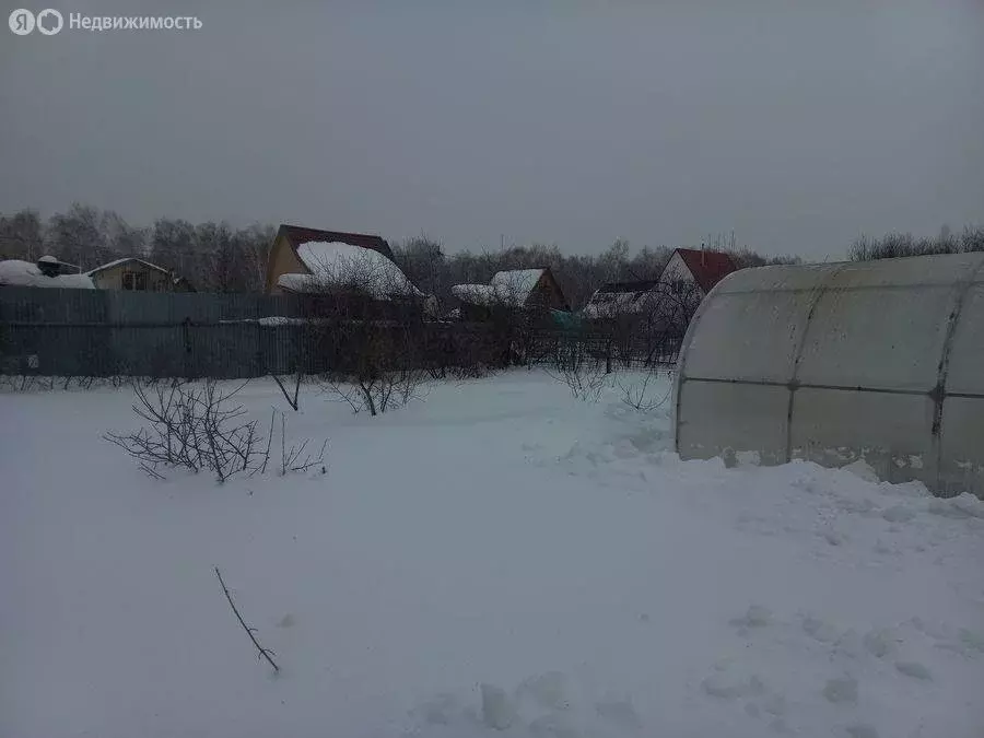 Участок в Новосибирская область, Коченёвский муниципальный район, ... - Фото 2