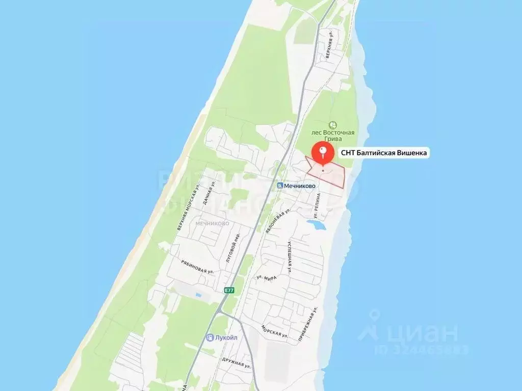 Участок в Калининградская область, Балтийск Базарный пер., 3 (6.6 ... - Фото 1