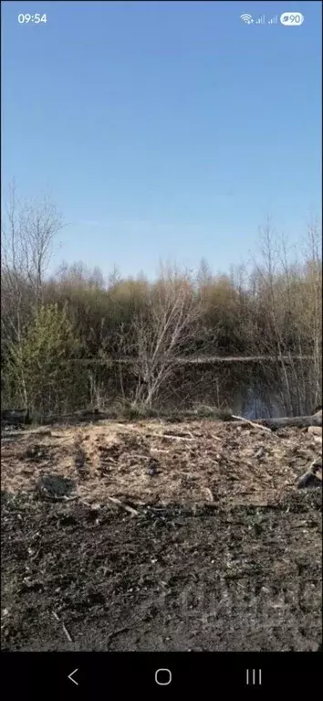 Помещение свободного назначения в Вологодская область, Белозерск ул. ... - Фото 2