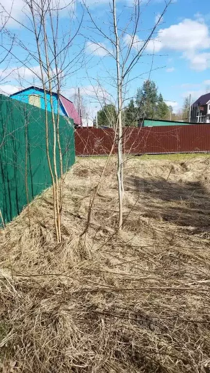 Участок в Вологодская область, Камыш садоводческое товарищество  ... - Фото 2