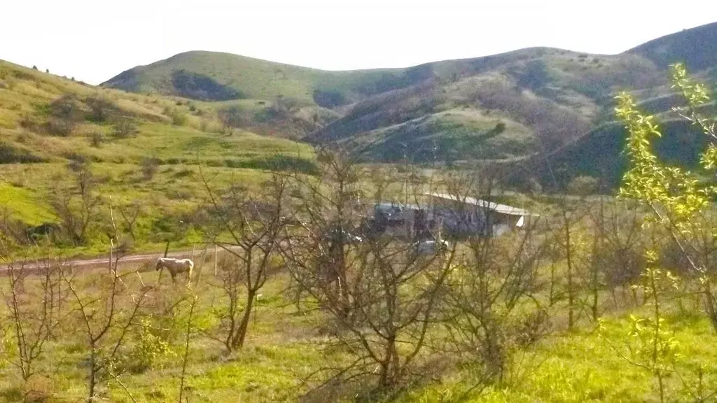 Участок в Крым, Феодосия муниципальный округ, Курортное пгт ул. ... - Фото 1