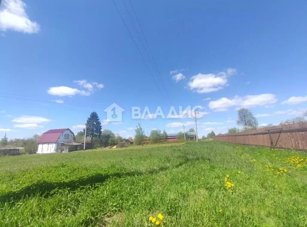 Участок в Владимирская область, Суздальский район, Павловское ... - Фото 1
