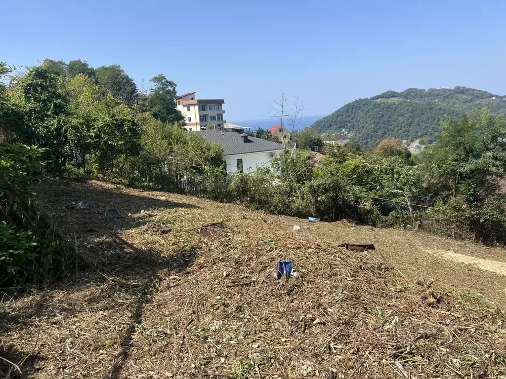 Участок в Краснодарский край, Сочи Подснежник ЖСТ, 86 (7.31 сот.) - Фото 2