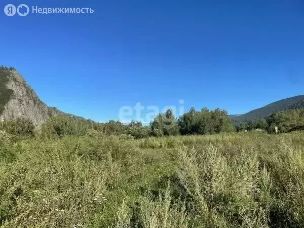 Участок в Усть-Канский район, село Ябоган (9923.76 м) - Фото 1