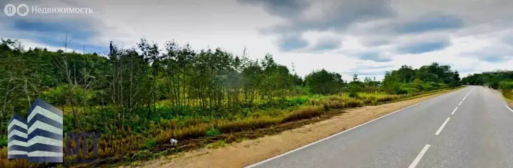 Участок в Московская область, Рузский муниципальный округ, деревня ... - Фото 2