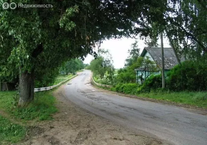 Участок в Волосовский район, Большеврудское сельское поселение, ... - Фото 1