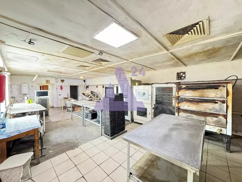 Помещение свободного назначения в Алтайский край, Павловский район, с. ... - Фото 1