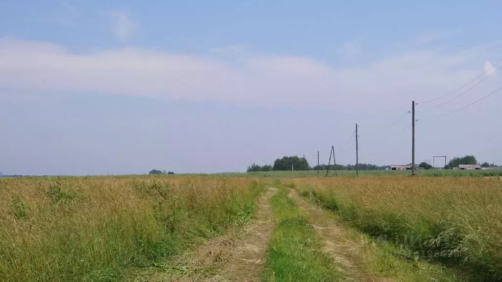 Участок в Московская область, Клин городской округ, Чистые Пруды дп  ... - Фото 0