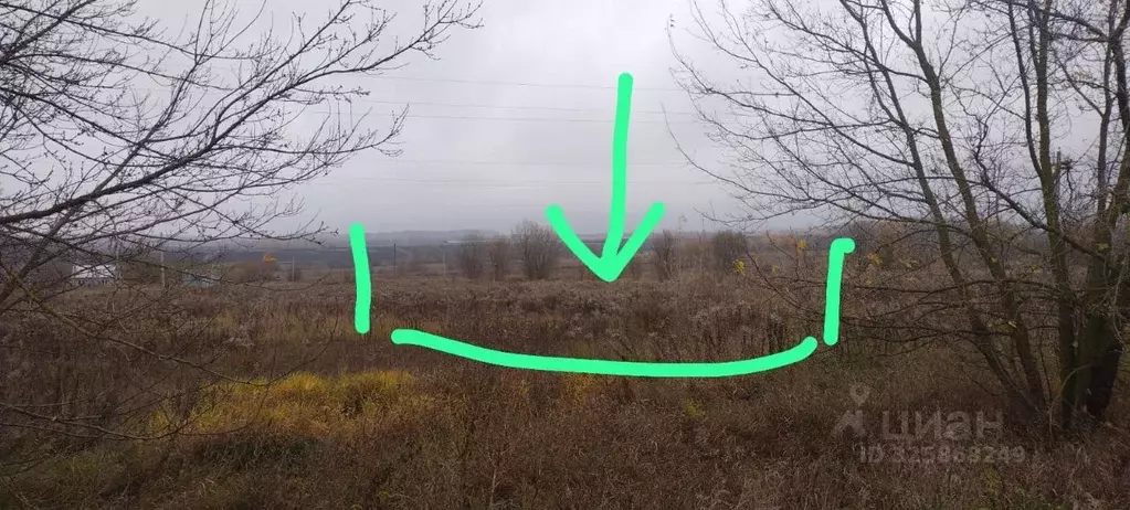 Участок в Тульская область, Киреевский район, Красноярское с/пос, пос. ... - Фото 2