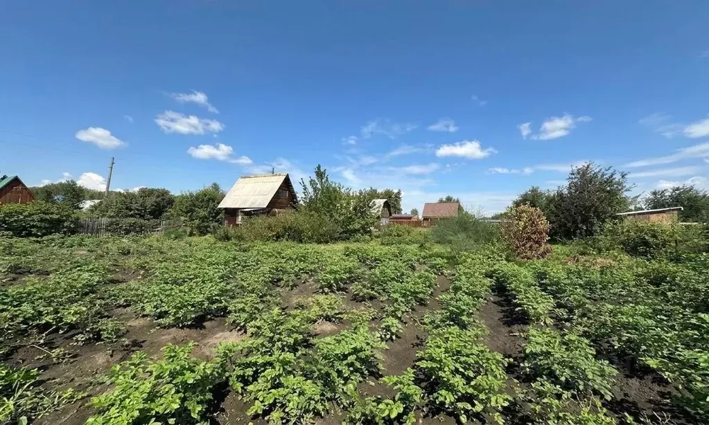 Дом в Новосибирская область, Мошковский район, Радуга-2 СНТ 160 (24 м) - Фото 2